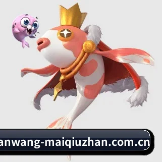 买球站 APP