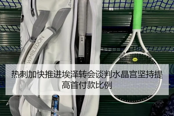 热刺加快推进埃泽转会谈判水晶宫坚持提高首付款比例